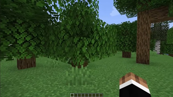 Minecraft